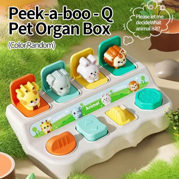 my-11134207-820l6-mfrooil5hafg71.webp Random Baby Pop Up Animal Hide And Seek Peek a Boo Switch Box Sensory Toys
